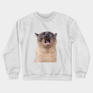 Cola Yawn Crewneck Sweatshirt